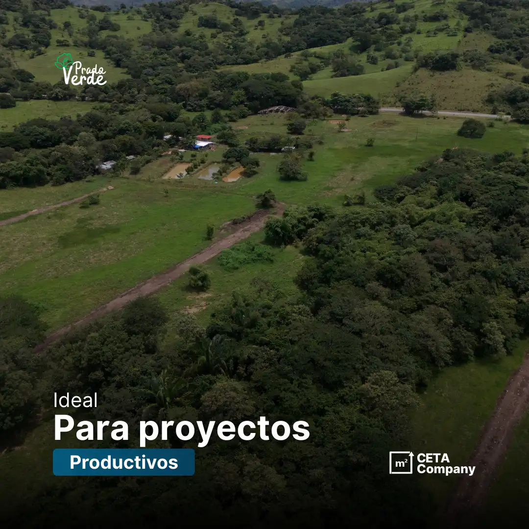 Lotes campestres en yopal - 5